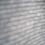 Meced Ali profile picture
