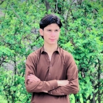 wolf-260352100 Liveme profile