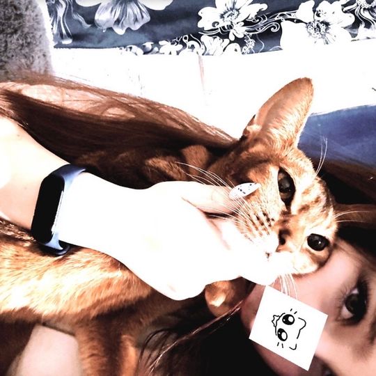 Conera_baby🐾 (ID: 1802745666106746881) — Live Shows & Streaming on LiveMe | Top Live Streaming Platform