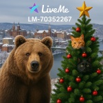 LM-70352267🔹📟 avatar