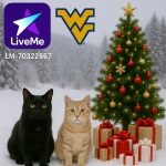 LM-70352267🔹📟 avatar