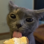 😸😸😸 profile picture