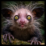 𓀏BIGG 𝒫URR👁️⃤💦 avatar