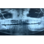 𓀏BIGG 𝒫URR👁️⃤💦 avatar