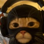 Xhetengene profile picture