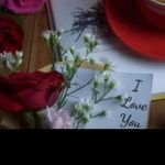 صخر13. profile picture
