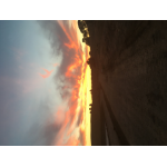 🔥🌍OFF🌏🔥 avatar