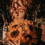 𝙹𝚞𓃠🌻 profile picture