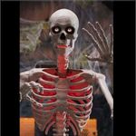 💀Ultra-Skelly💀 profile picture