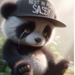 ☣️(Ritu)🍟 avatar