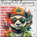 ꧁ᴋɪɴɢ420ᴀɢᴇɴᴄʏ꧂ avatar