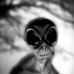 Suspicious creature profile picture